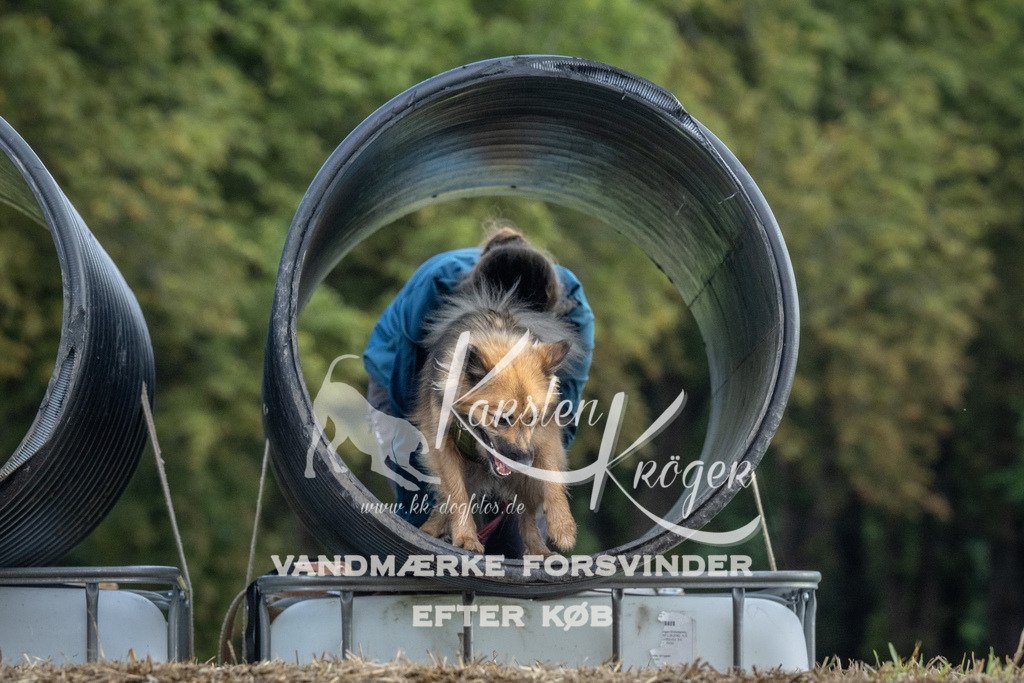 1053_ZZ93371 | kk-dogfotos