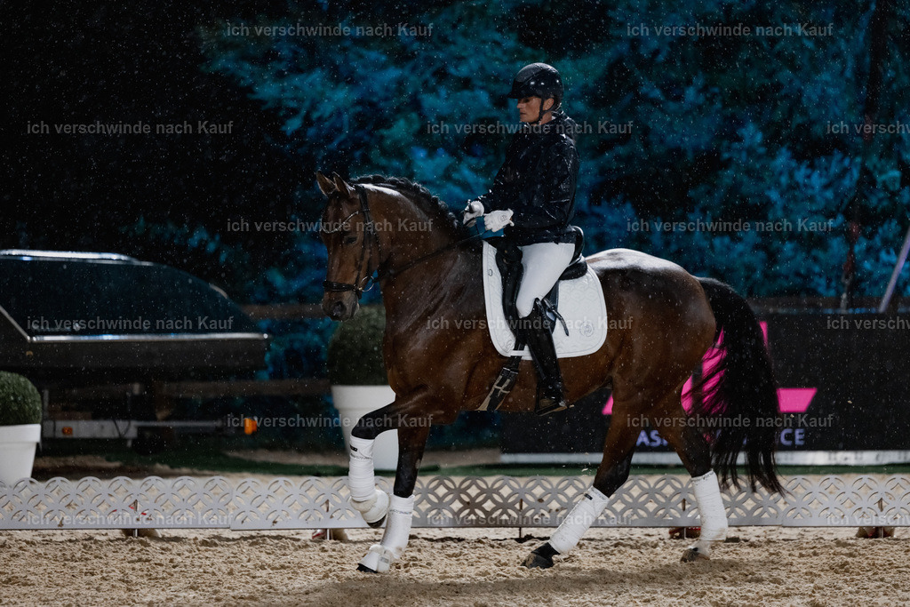 FHClassics-74 | working equitationturnier fotograf videograf stoibphotography marixx film working equitation deutschland reitsport turnierfotografie eventfotografie equestrian events