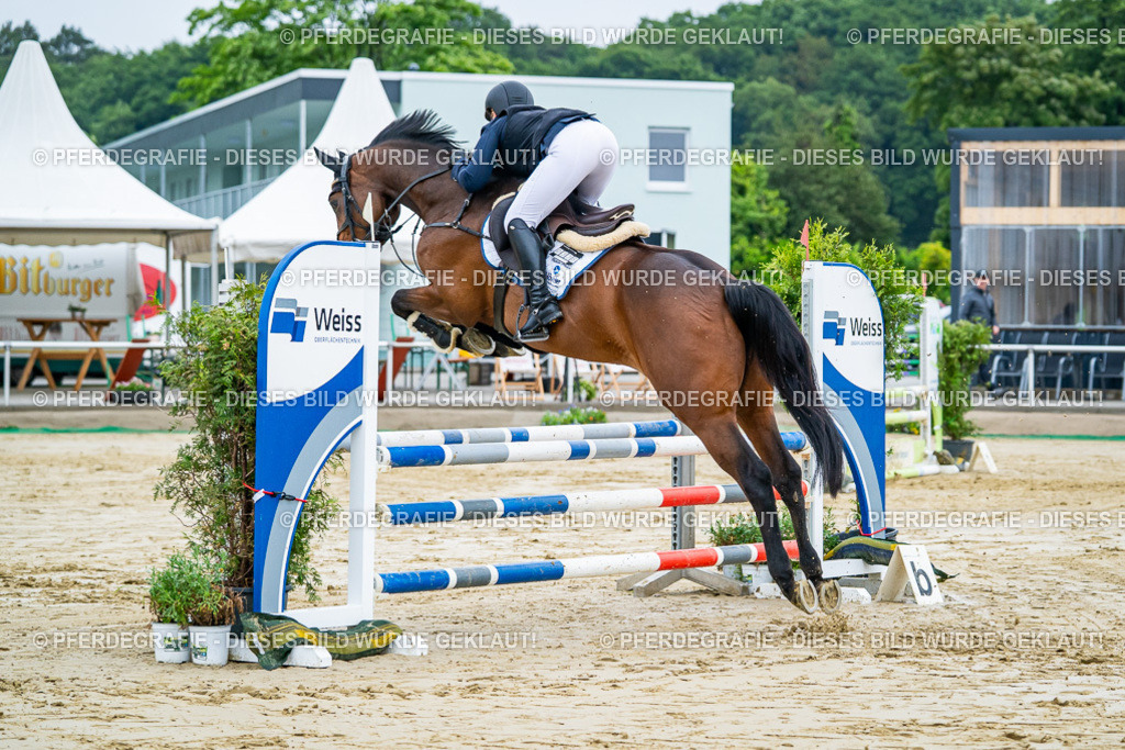 DSC02198 | Pferdegrafie