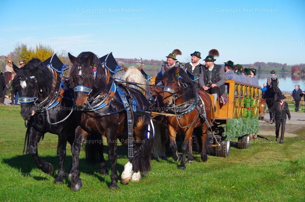 IMGP7511 | fotografiert von Axel PollmannLeonhardi Wallfahrt Benediktbeuern und Murnau, Fronleichnam, Fasching, Landschaft im Loisachtal und Benediktbeuern  - Realisiert mit Pictrs.com
