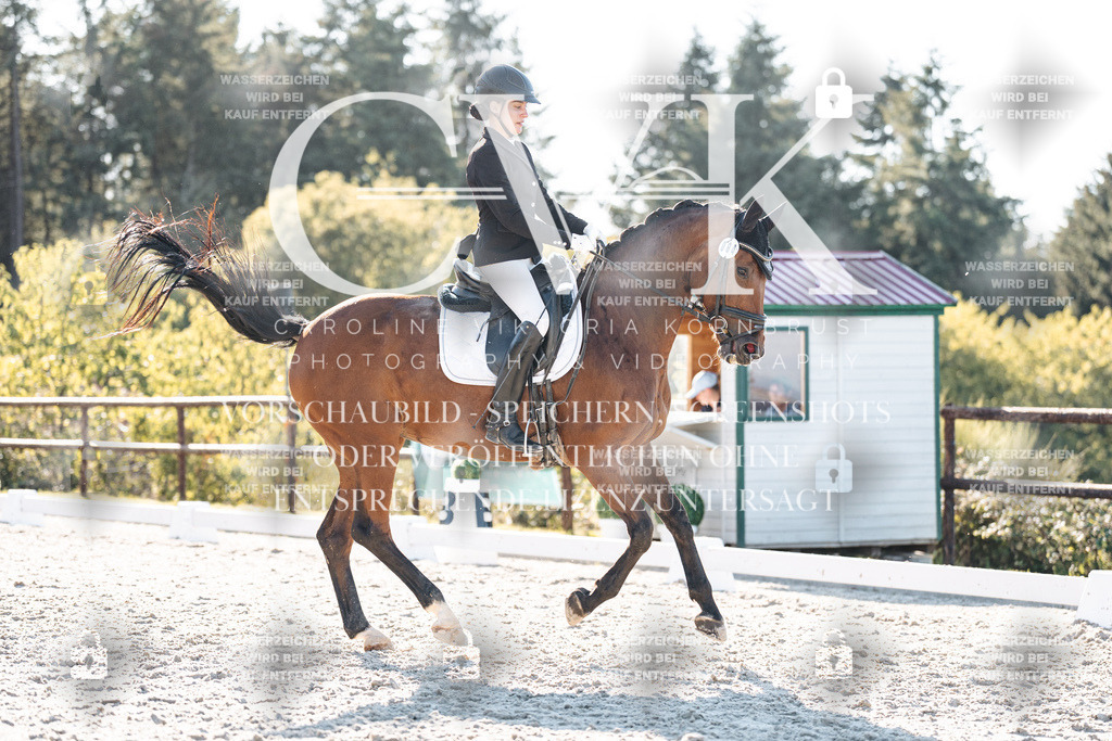 CK906801 | Turnierfotografie Pferdefotografie Trier Rheinland-Pfalz Pferdesport Reitsport Tierfotografie Sportfotografie Pferdevideo Pferdevideografie Equestrianvideography equestrianphotography  - Realisiert mit Pictrs.com