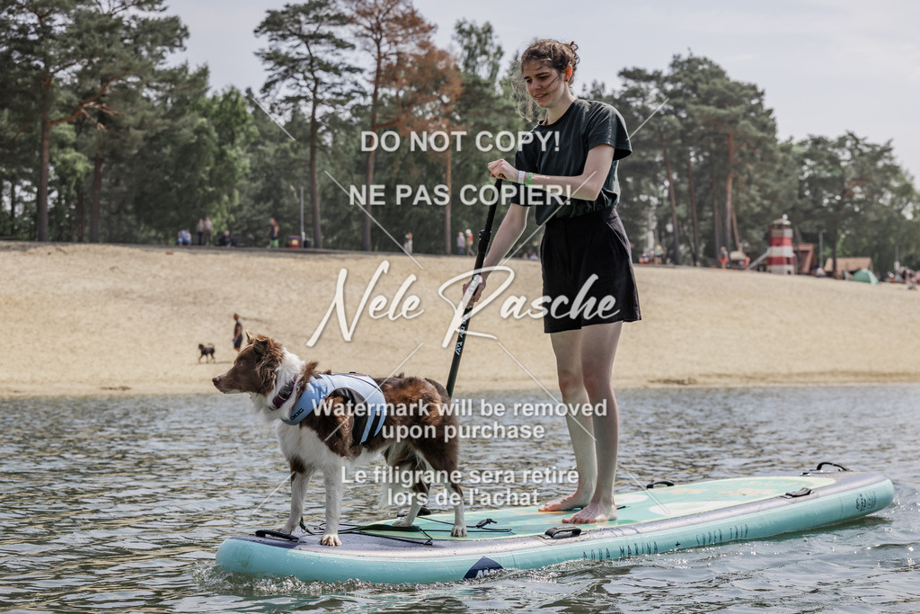 BUHU_SUP_608 | nelerasche