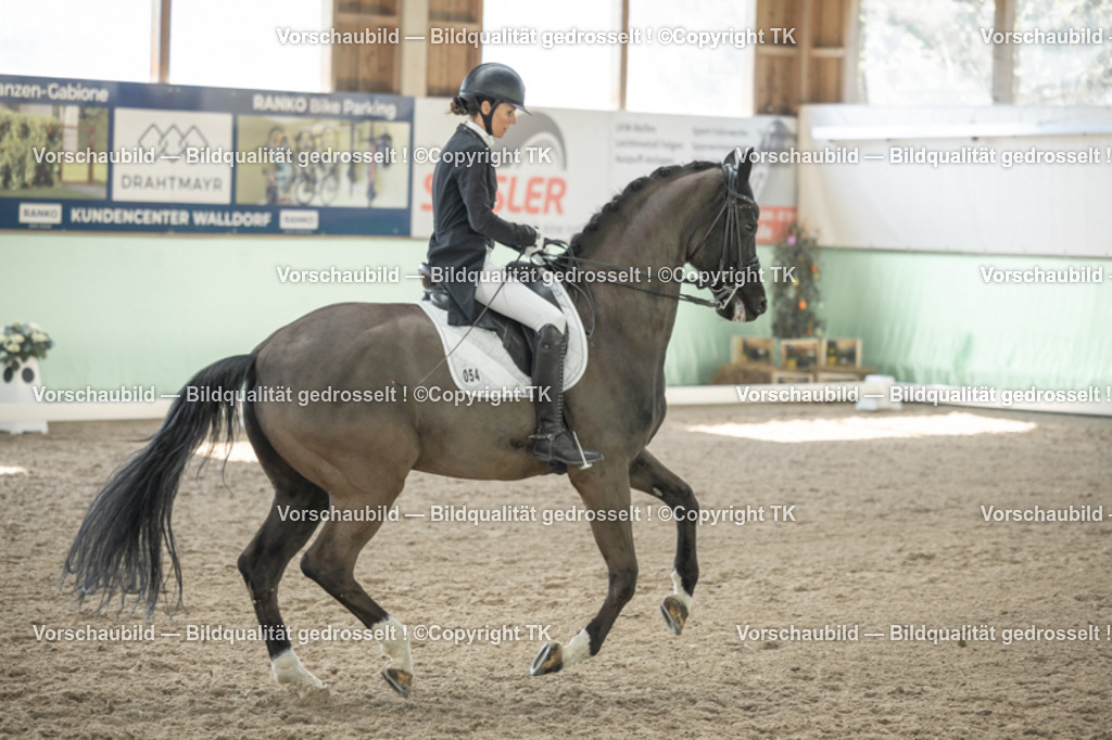 _D5A2192 | Emotionale Pferde- & People-Fotografie rund um Heidelberg, Leimen & Umgebung. Natürliche Fotos von Pferd, Mensch & Familie. Jetzt Termin sichern!