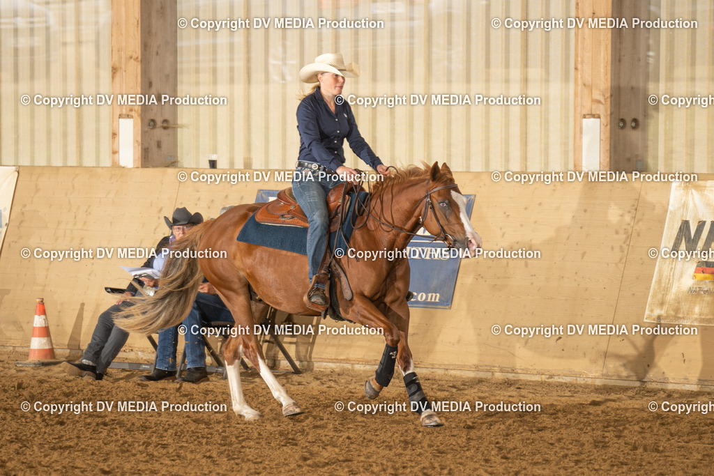 LAU00591 | dv-media-shop - Realisiert mit Pictrs.com