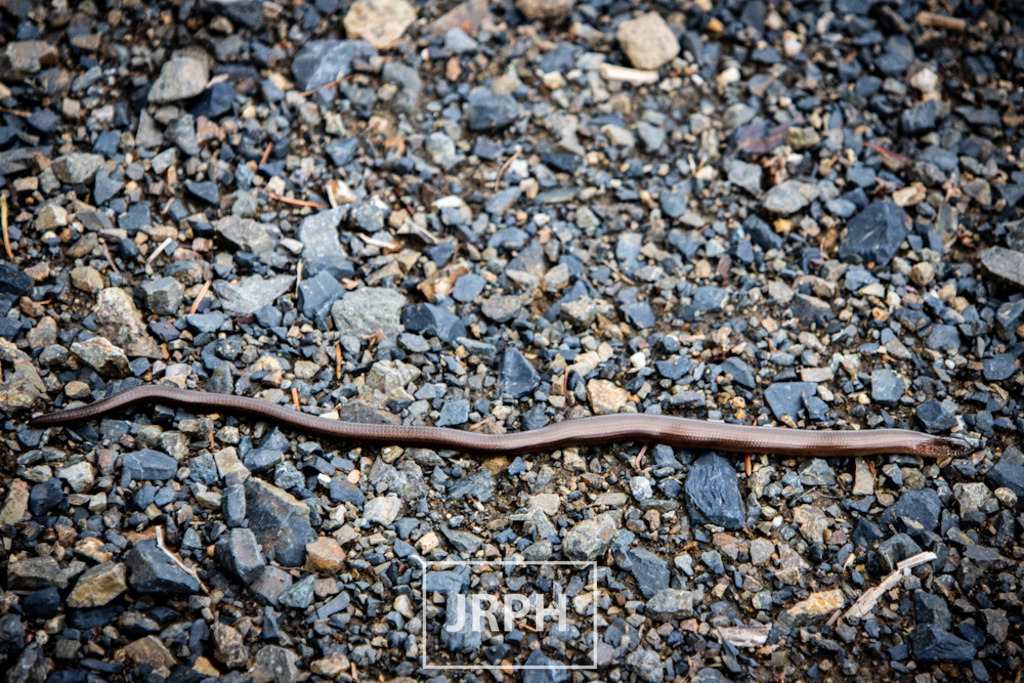 IMG_7901 | jrph - Realisiert mit Pictrs.com