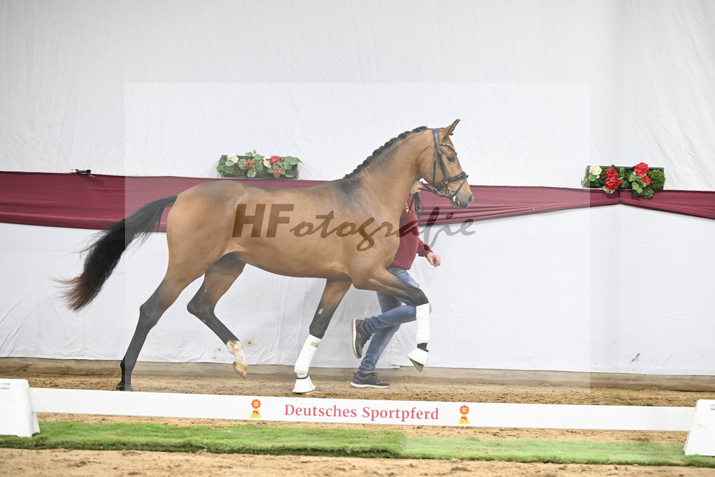 Kat-Nr. 45 Velvedere x Goldberg_Franz-Josef Kleinekoerdt_47251582 | hf-fotografie - Realisiert mit Pictrs.com