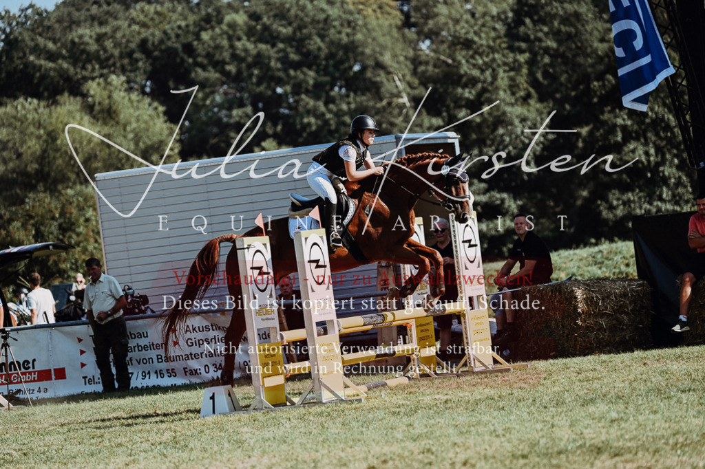 DSC_6703 | Pferde- und Turnierfotografie in Westsachsen. Pferdeportraits, Auftragszeichnungen und intuitive Kunst.