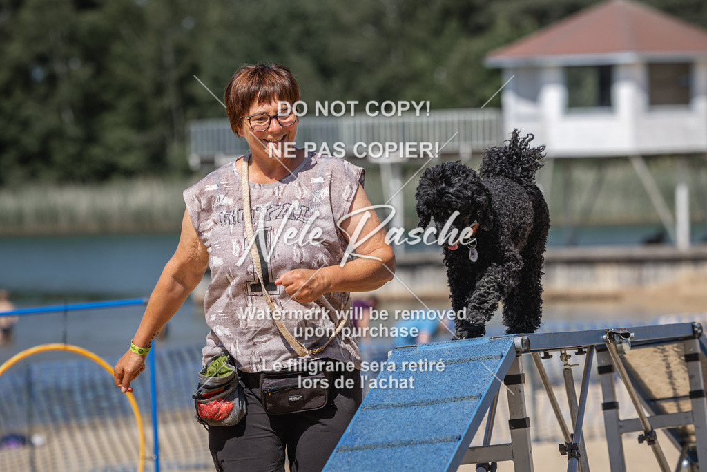 nelerasche_saBeachility_585 | nelerasche