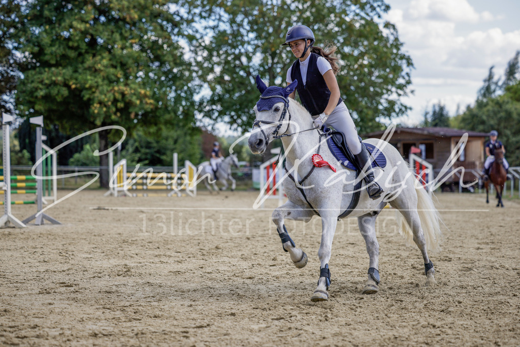 20250906-_3LI6636 | Tierfotografie Pferde, Hunde, Katzen, Haustiere.
Turnierfotografie Reitturniere, Reiten, Springreiten, Dressur in Hanau, dem Main-Kinzig-Kreis und dem Rhein-Main- Gebiet um Frankfurt