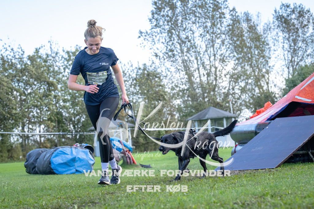 1258-90368 | kk-dogfotos
