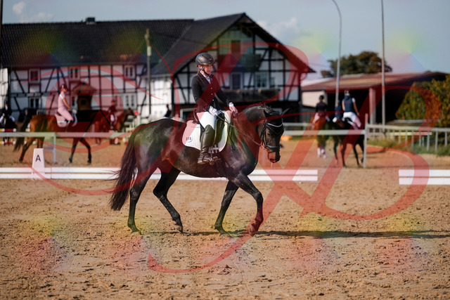 2026_10_03_Siefer-Hof_121706_Z63_40696325 | Professionelle Reitsport-, Turnier- und Eventfotografie von Robert Broda. Galerien mit ausgewählten und bearbeiteten Bildern direkt online ansehen und bestellen.