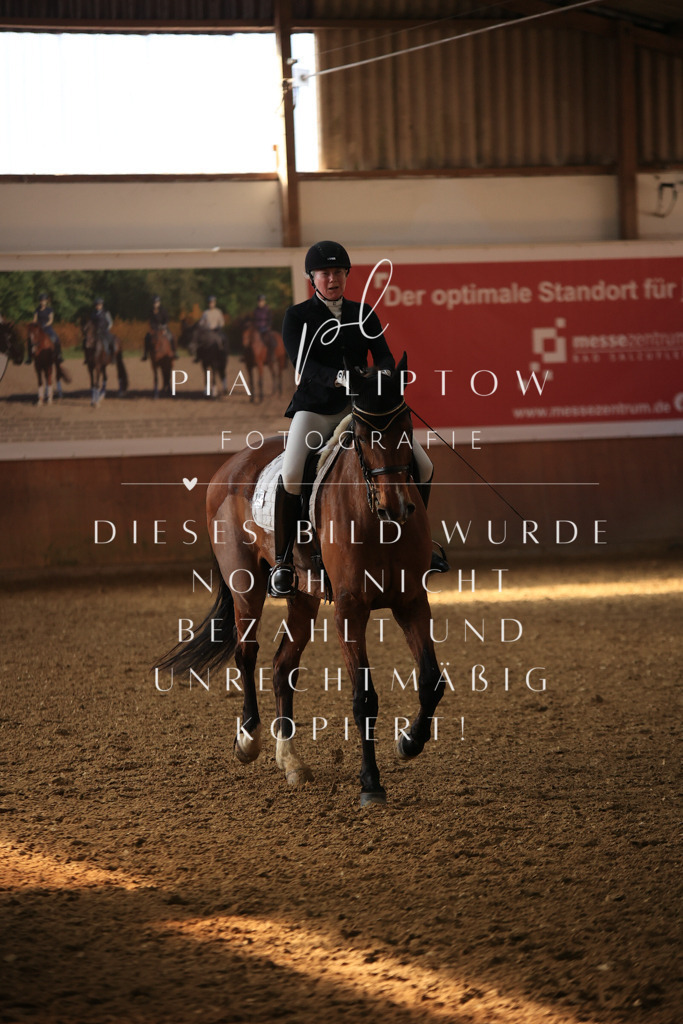 IMGT1885 | pl-fotografie