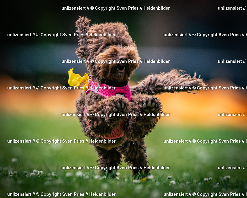 Sven Pries | 2025-05-29 - Pudelrennen KA-Durlach - Realisiert mit Pictrs.com