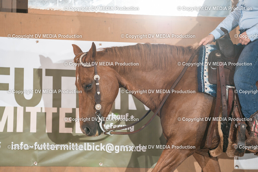 Losheim Tag 1-360 | dv-media-shop - Realisiert mit Pictrs.com
