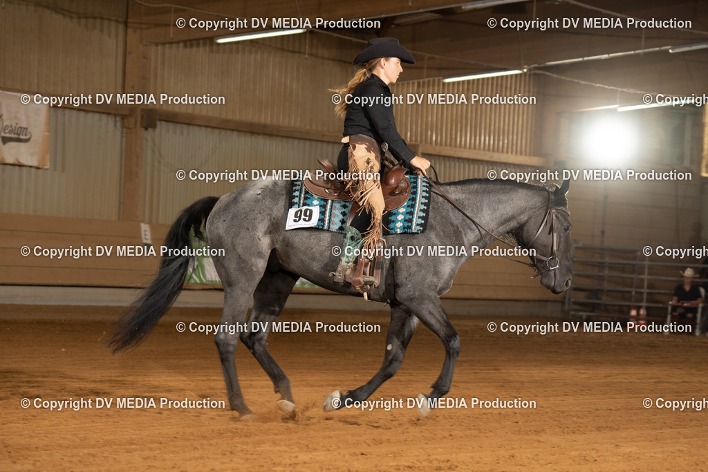 NID01787 | dv-media-shop - Realisiert mit Pictrs.com