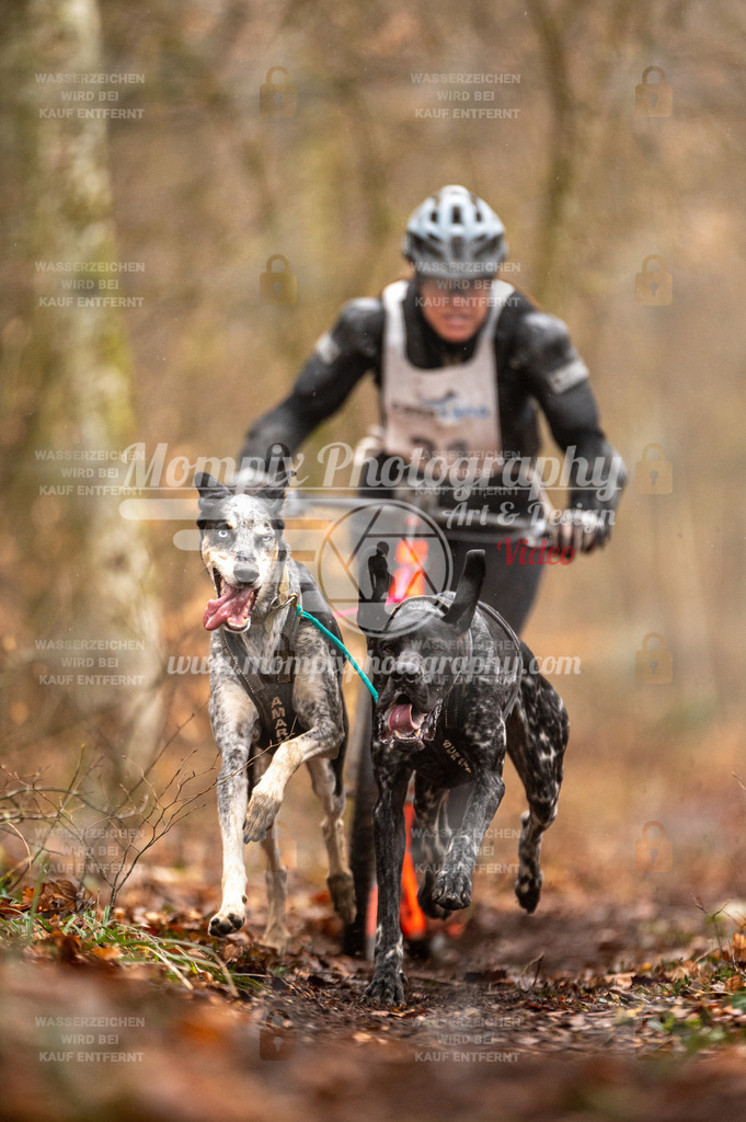 Reiat2023_SON_DS2_5km_2H-15 | mompixphotography