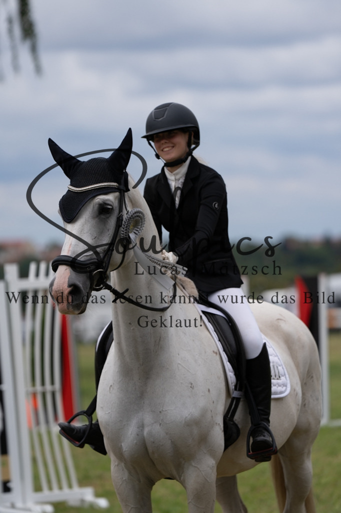 A7V06105 | Pferdefotograf