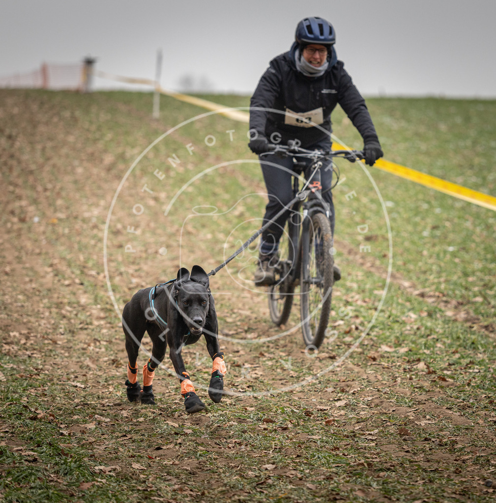 Pfotenfotografie_DV3A2743 | Hundefotografie, Tierfotograf, Pfotenfotografie, Fotoshooting Hund, Hunde Portrait, Hundesport, Hundeportraits, Heideshooting, Hunde, Sportfotograf, Hundefotograf, Turnierhundsport, THS,  - Realisiert mit Pictrs.com