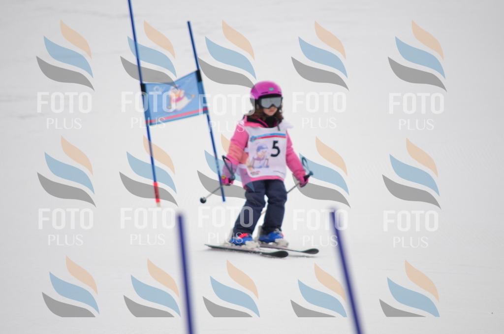 B9941 | holidayphoto