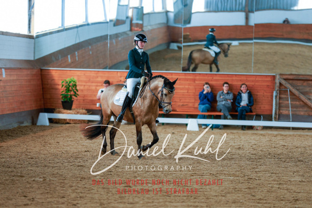 _62_5539 | Turniersportfotografie; Pferdefotografie; Dressurfotografie