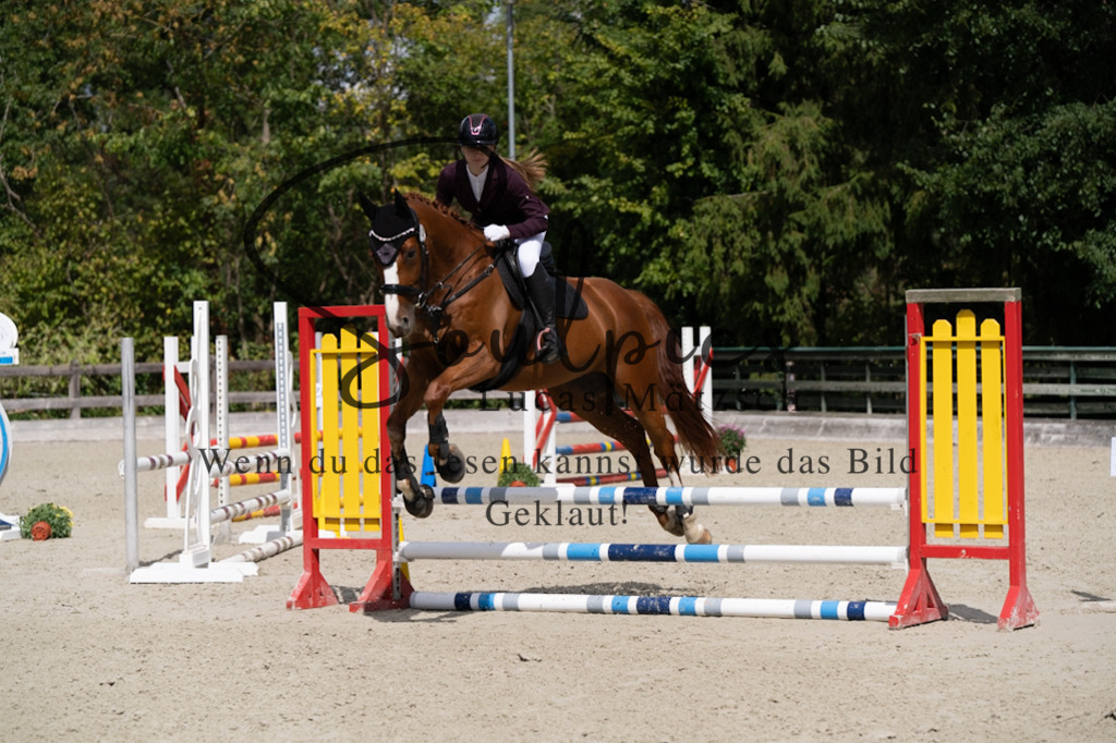 A7V07354 | Turnier/Reitfotograf