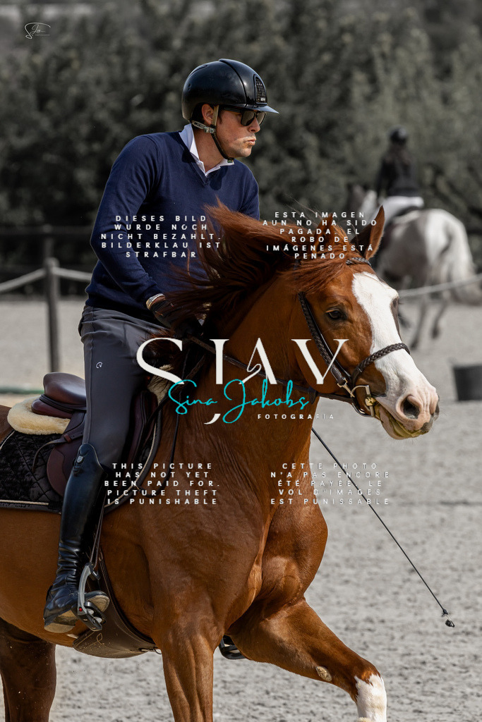 IMG_3228 | s-jay-photography - Realisiert mit Pictrs.com