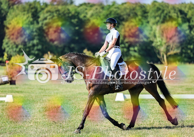 20260628_14a_VA_Dressur-110 | JS-Photostyle - Sport-/Portrait- & Eventfotografie