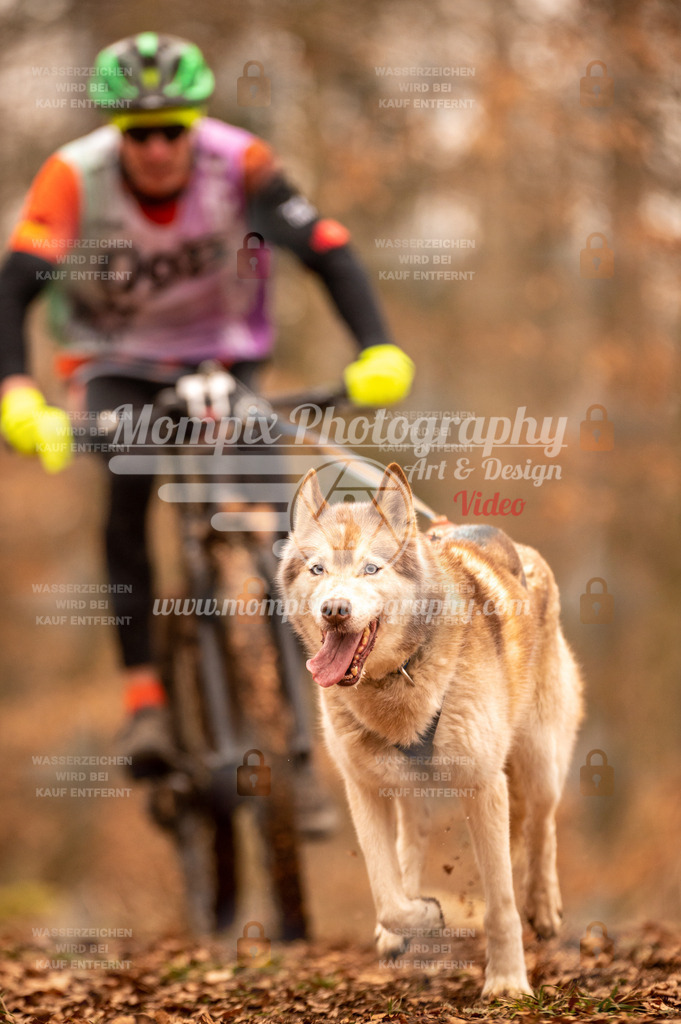 AKM_ST_2023_SAM_Bike-103 | PayLife