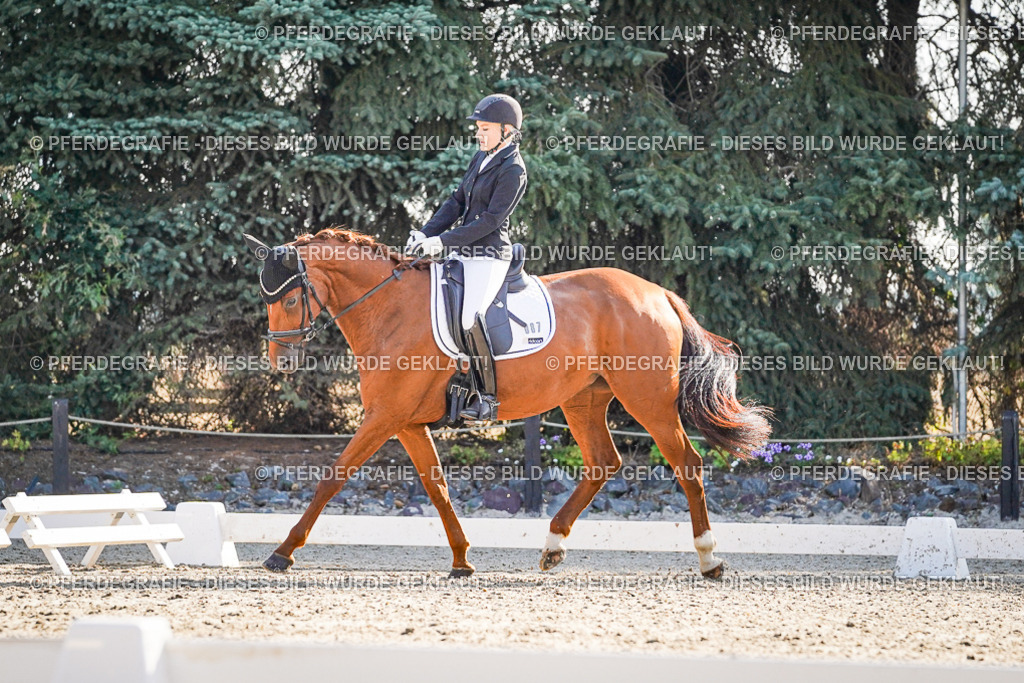 DSC09072 | Pferdegrafie