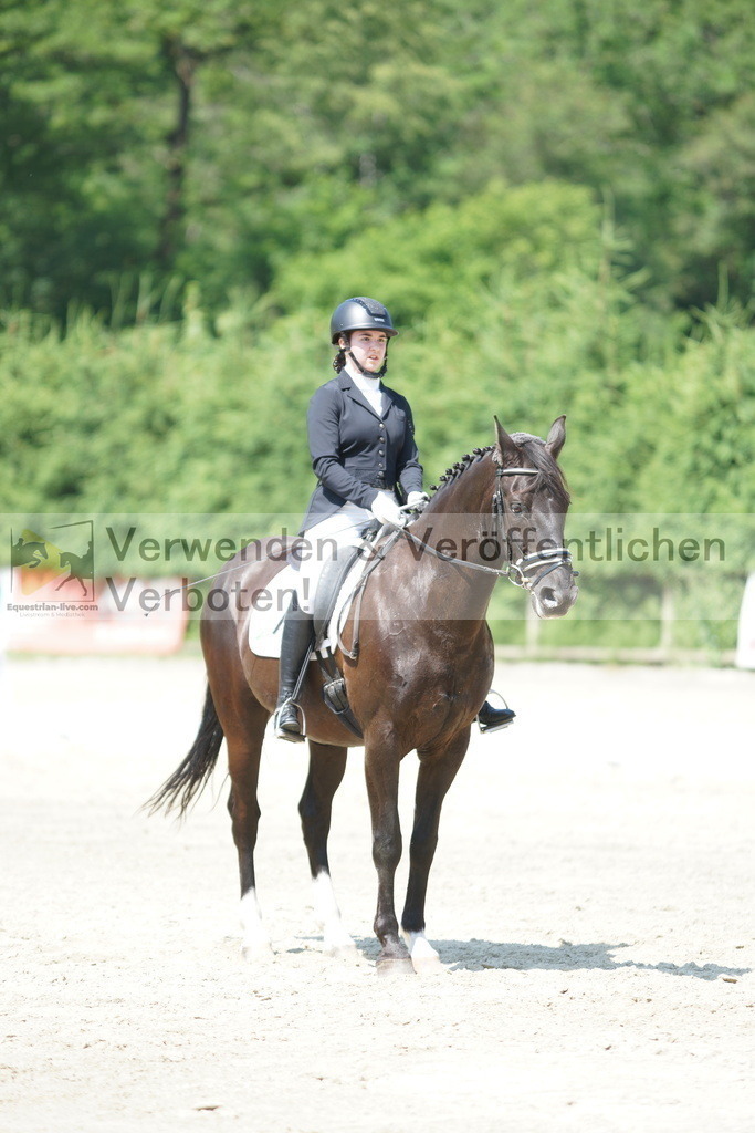 DSC01667 | equestrian-live-com