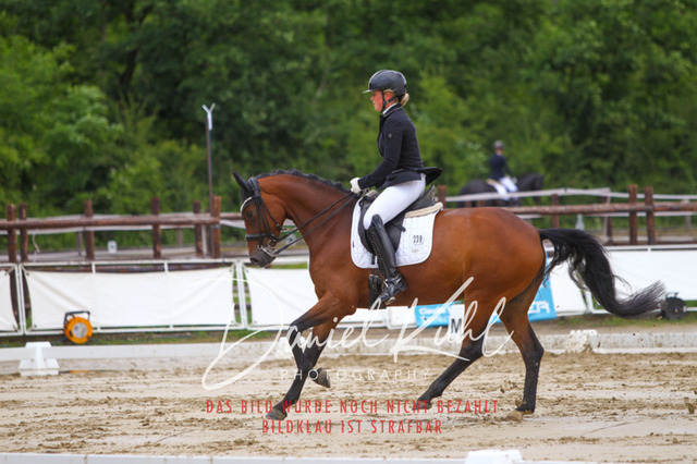 DKP40635 | Turniersportfotografie; Pferdefotografie; Dressurfotografie