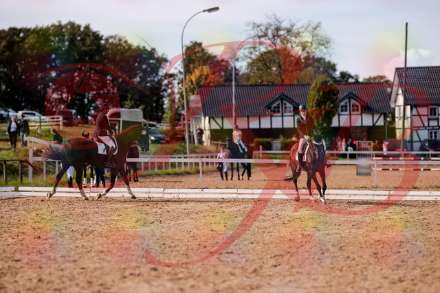 2026_10_03_Siefer-Hof_132617_Z81_79240065 | Professionelle Reitsport-, Turnier- und Eventfotografie von Robert Broda. Galerien mit ausgewählten und bearbeiteten Bildern direkt online ansehen und bestellen.