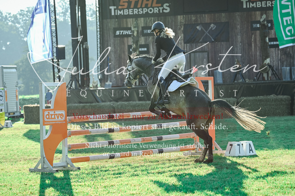 DSC_4471 | Pferde- und Turnierfotografie in Westsachsen. Pferdeportraits, Auftragszeichnungen und intuitive Kunst.