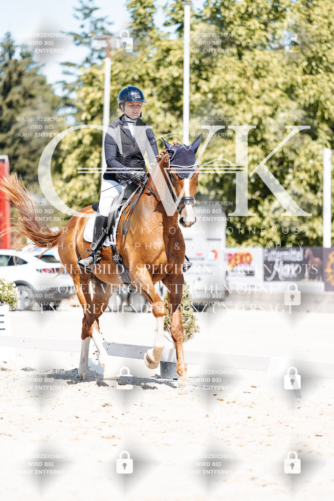 CK900074 | Turnierfotografie Pferdefotografie Trier Rheinland-Pfalz Pferdesport Reitsport Tierfotografie Sportfotografie Pferdevideo Pferdevideografie Equestrianvideography equestrianphotography  - Realisiert mit Pictrs.com