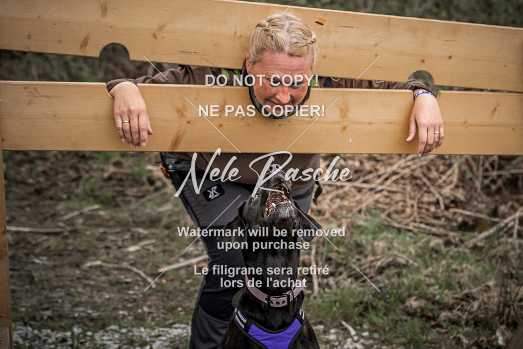 nelerasche_TheGame2026_SaPranger_19 | nelerasche