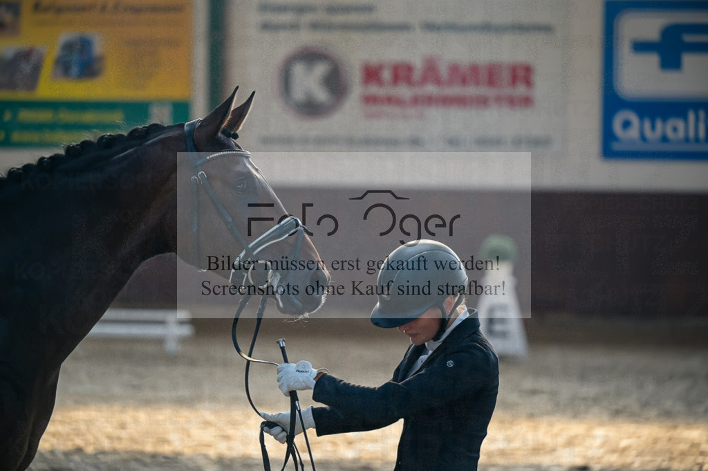 Reitturnier Voxtrup | Entdecke hochwertige Reitturnierfotos von Foto Oger. Professionell, emotional und authentisch – jetzt Lieblingsmomente im Shop bestellen.Deutschlandweite Turnierfotografie. - Realisiert mit Pictrs.com
