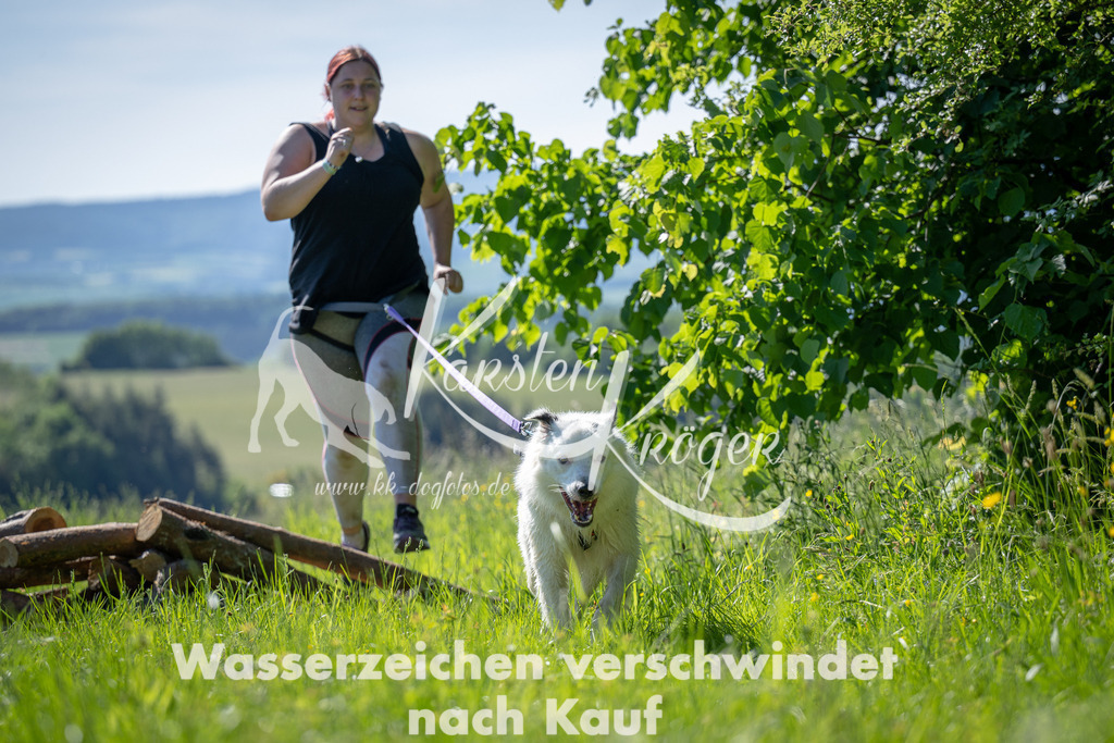 0938DSC_3235 | kk-dogfotos