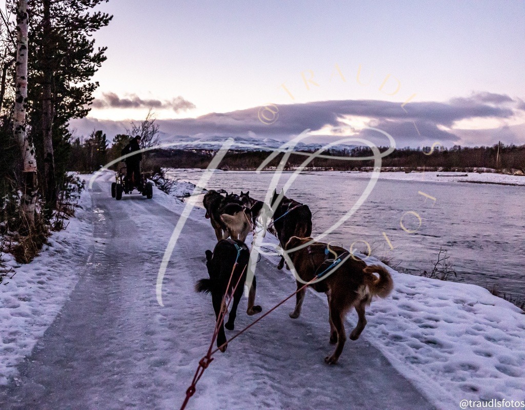 1F001F5F-1F2F-49A3-95C7-D3FD962D65D8 | traudl_s_fotos