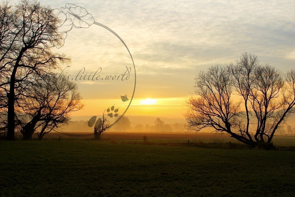Sonnenaufgang mit Morgennebel | only.this.little.world - Realisiert mit Pictrs.com