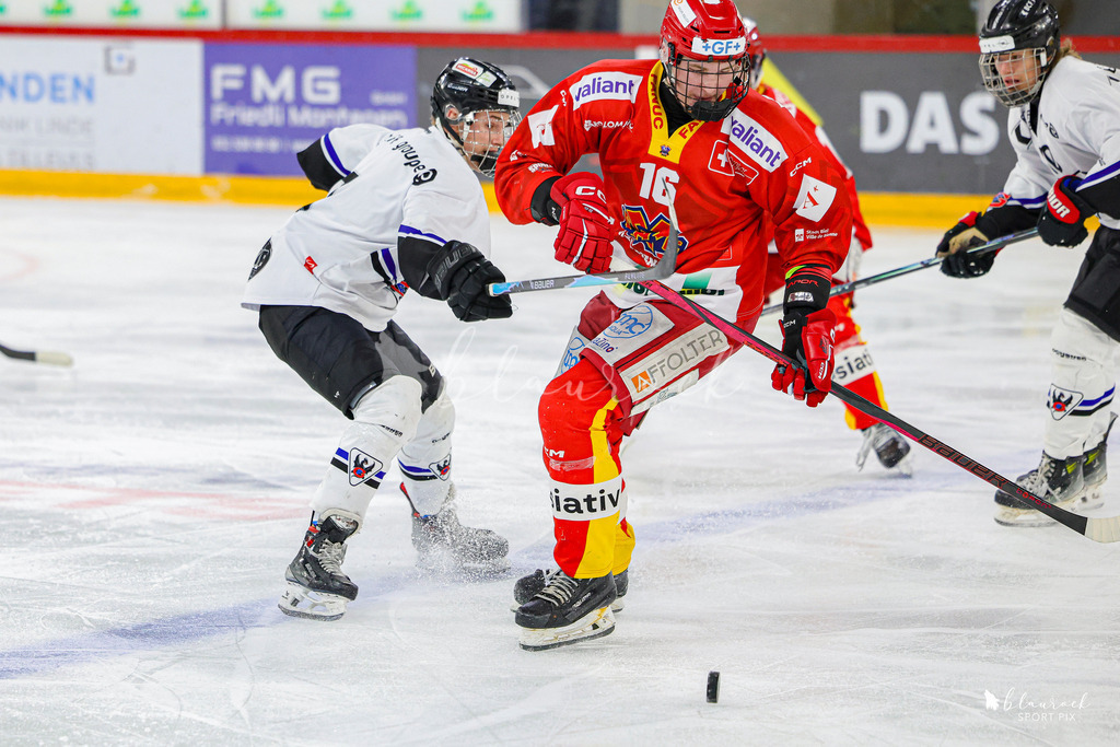 EHCB Spirit vs HCFG_wb-8244 | Sportbilder, Sportfotograf, Hochzeits- und Eventfotografin, Flugshows, Portraits und Tiershooting, Aviation, Downhill, Nationalleague, Swissleague, International
