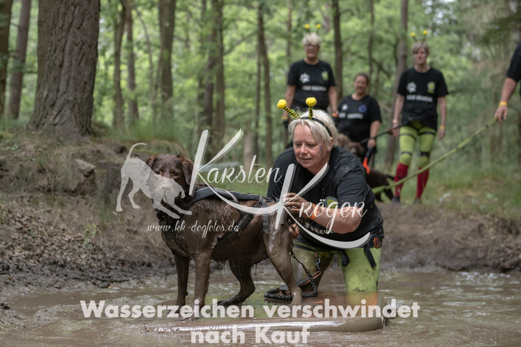 1336_ZZ94899 | kk-dogfotos