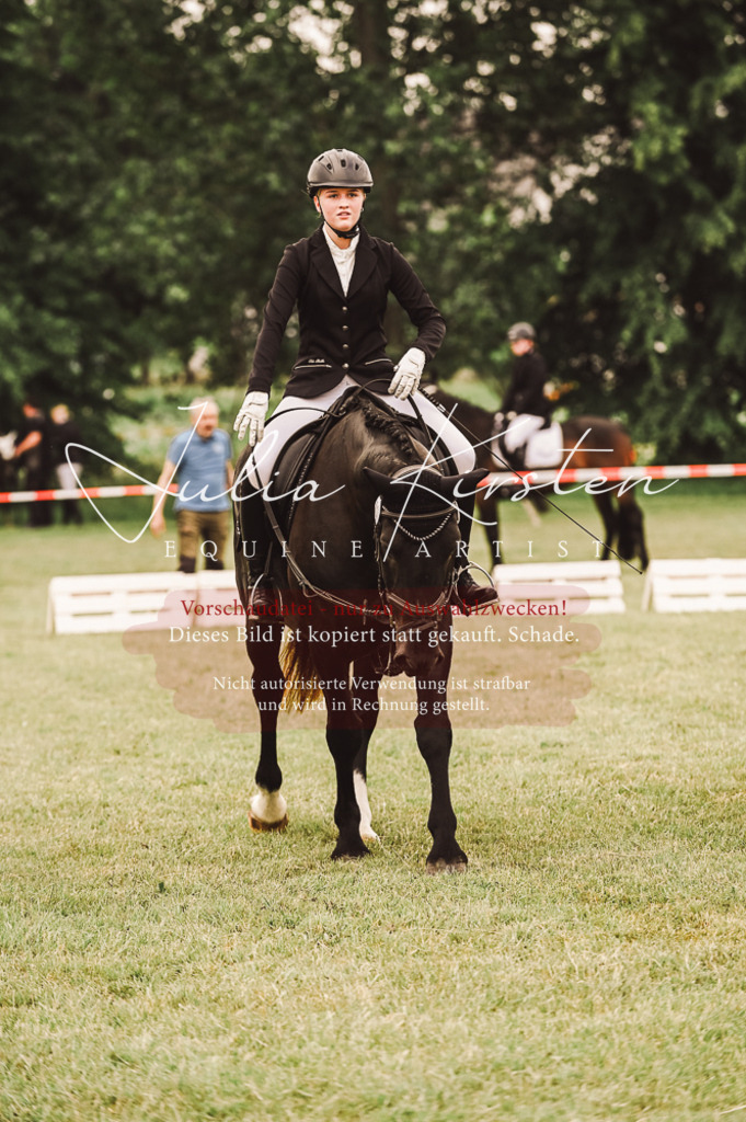 DSC_5140 | Pferde- und Turnierfotografie in Westsachsen. Pferdeportraits, Auftragszeichnungen und intuitive Kunst.
