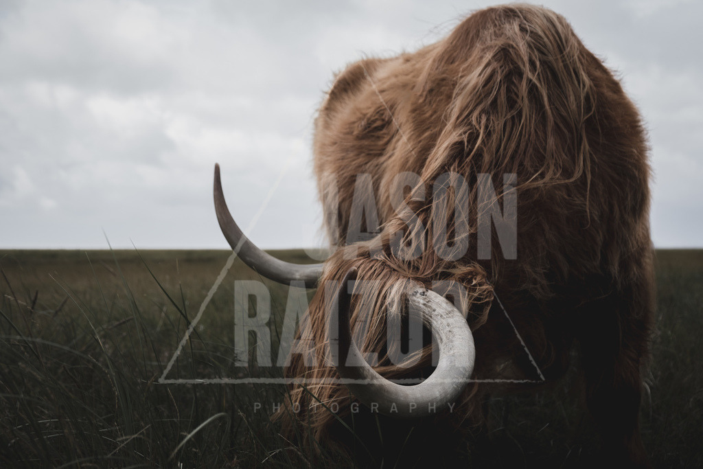 DSCF0981 | jasonraizor - Realisiert mit Pictrs.com