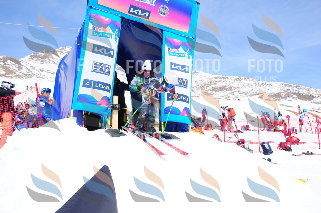 DSC_6949 | holidayphoto