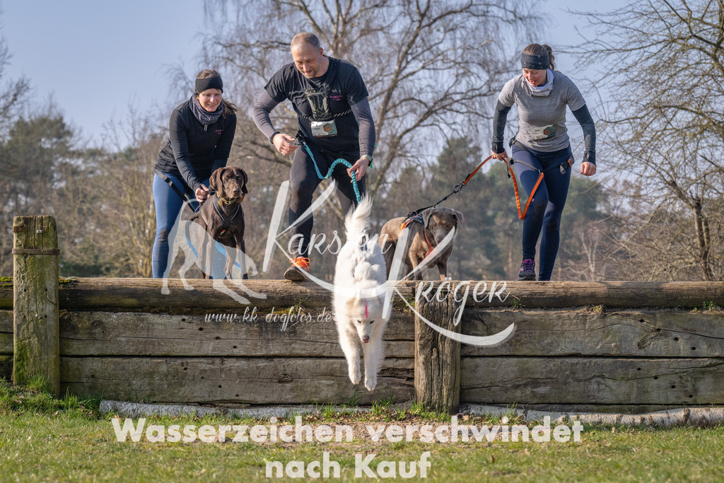 _ZZ92592 | kk-dogfotos