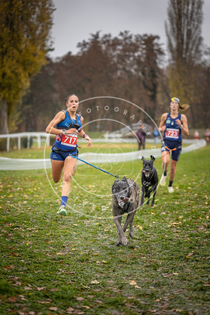 CaniXpix_DV3A9152 | Hundefotografie, Tierfotograf, Pfotenfotografie, Fotoshooting Hund, Hunde Portrait, Hundesport, Hundeportraits, Heideshooting, Hunde, Sportfotograf, Hundefotograf, Turnierhundsport, THS,  - Realisiert mit Pictrs.com