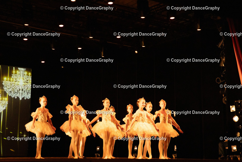 GPHY4555 | DanceGraphy - Realisiert mit Pictrs.com