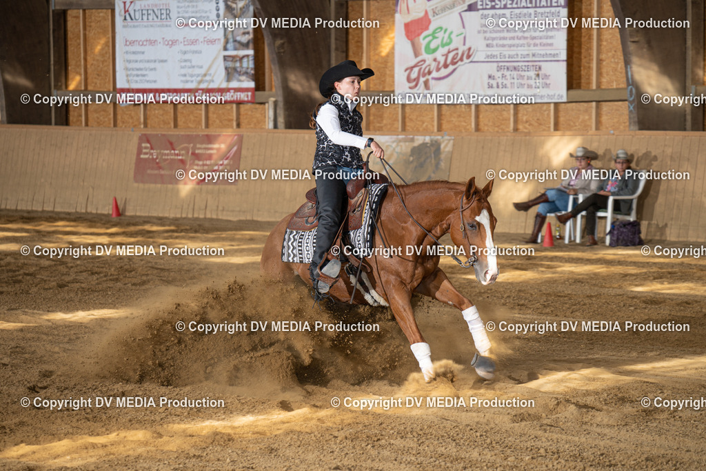 DSC00535 | dv-media-shop - Realisiert mit Pictrs.com