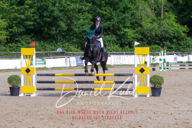 DKP41204 | Turniersportfotografie; Pferdefotografie; Dressurfotografie