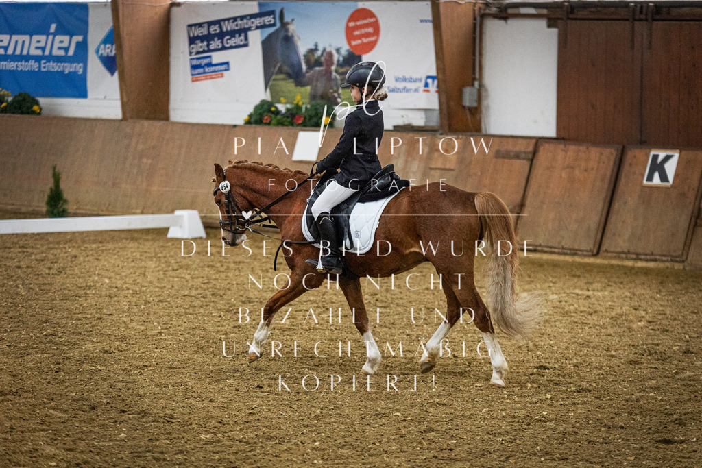 IMGT0529 | pl-fotografie